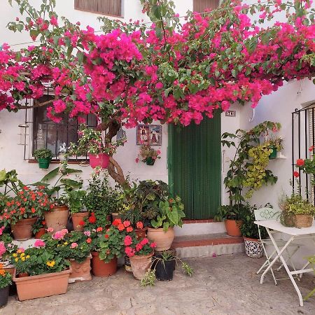 קסרס La Buganvilla De Juana Y Antonio מראה חיצוני תמונה