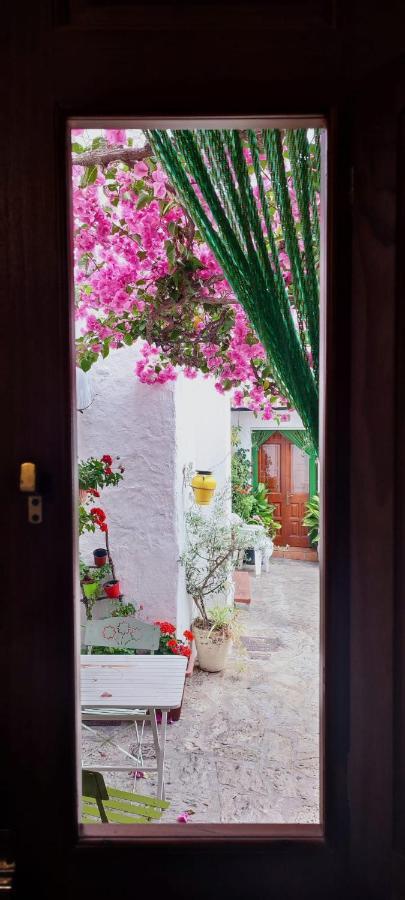 קסרס La Buganvilla De Juana Y Antonio מראה חיצוני תמונה