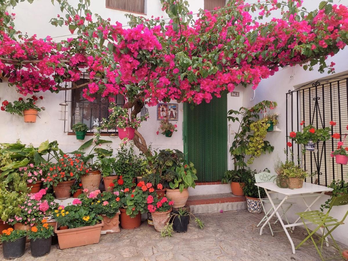 קסרס La Buganvilla De Juana Y Antonio מראה חיצוני תמונה